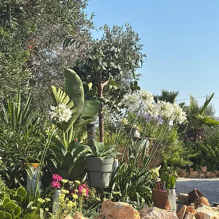 Il Mare Gasthof San Vito dei Normanni